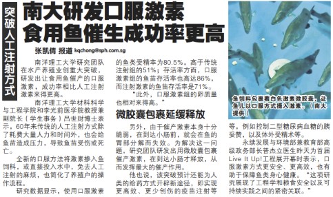 Shin Min Daily News (2025)